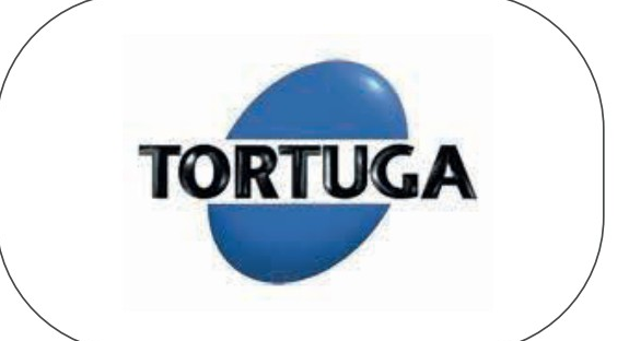 Tortuga: cliente Q'Painéis Elétricos